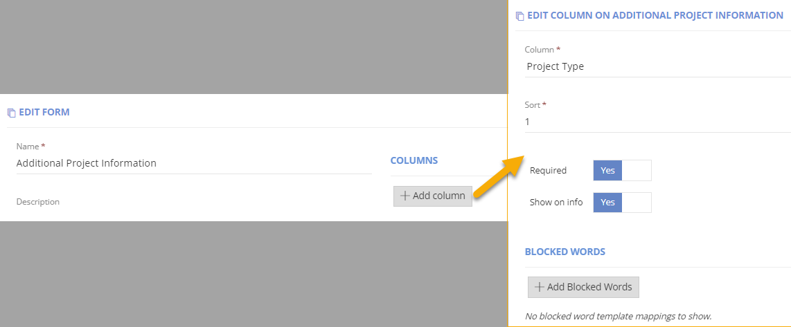 Edit Column Additional Project Information